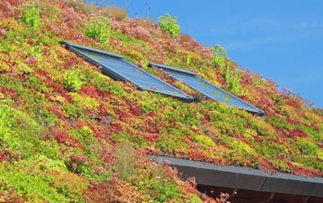 Bredons Norton living roof systems